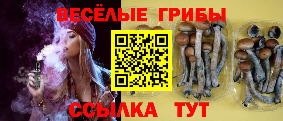 Галлюциногенные грибы мицелий  Вход с VPN  Курчатов  Псилоцибиновые грибы мухоморы 