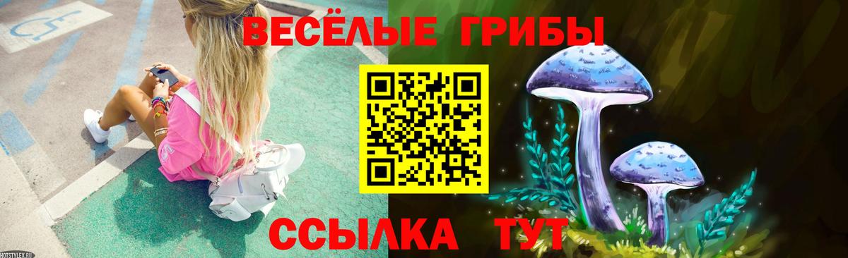 Галлюциногенные грибы GOLDEN TEACHER Курчатов